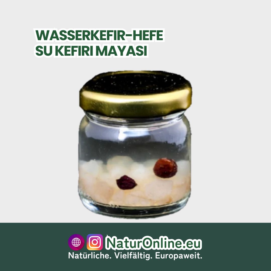 Su Kefiri Mayası