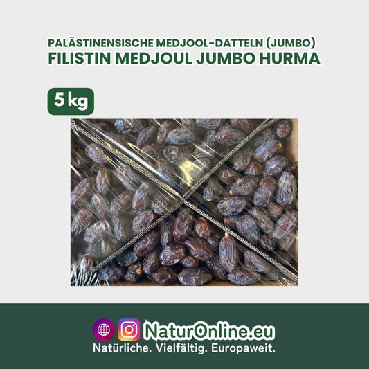 Palästinensische Medjool-Datteln (Jumbo)
