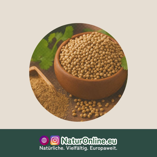 Coriander seeds