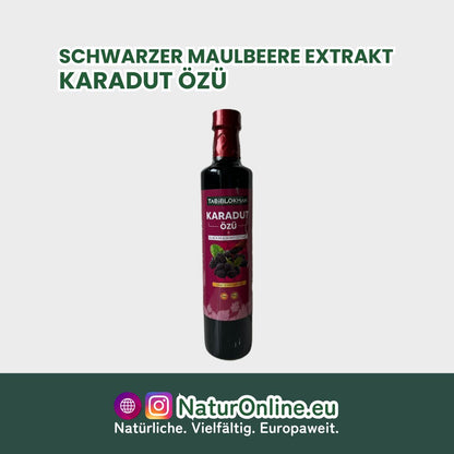Schwarzer Maulbeere Extrakt