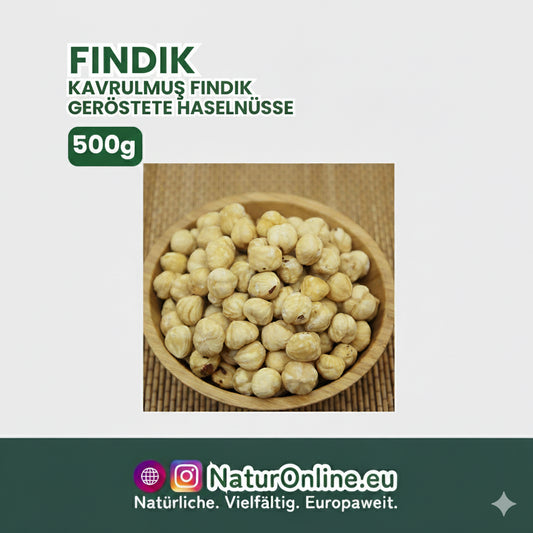 Neue Ernte 2025 – Haselnüsse